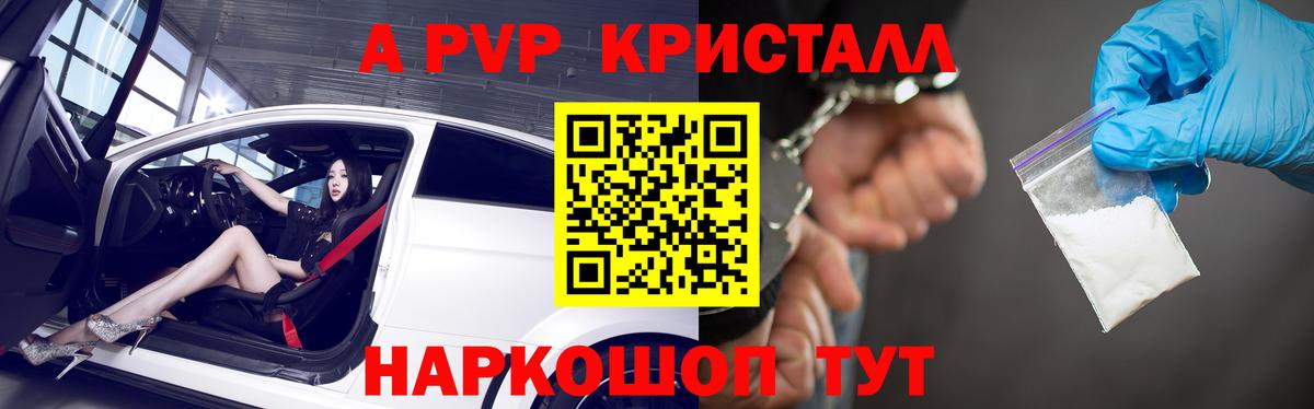 Прохладный  Alpha PVP СК КРИС  Вход с VPN  Alfa_PVP крисы CK  Alfa_PVP СК 