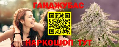 дживик Гатчина