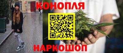 гидропоника Гай