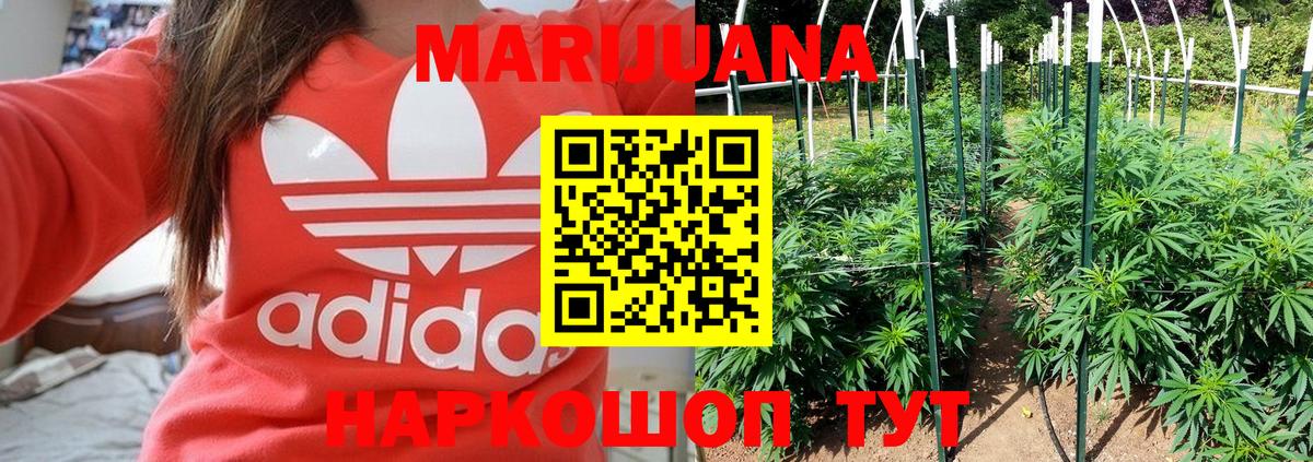 Конопля план Прохладный
